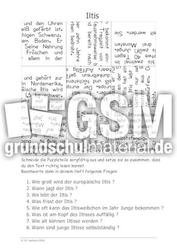 Iltis.pdf